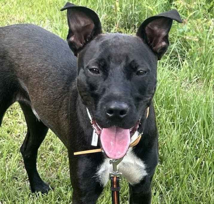 Photo of Max