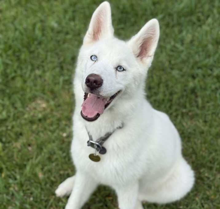 Photo of Abby