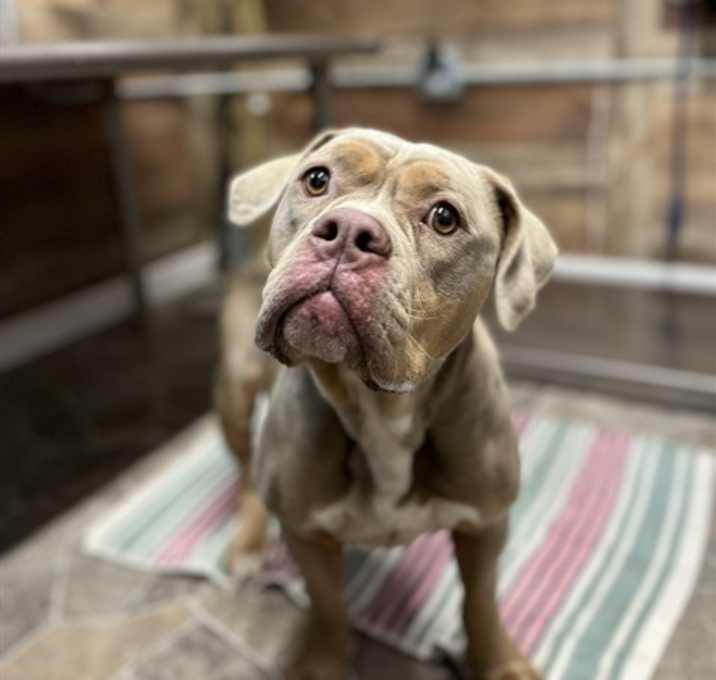 Photo of VIXEN