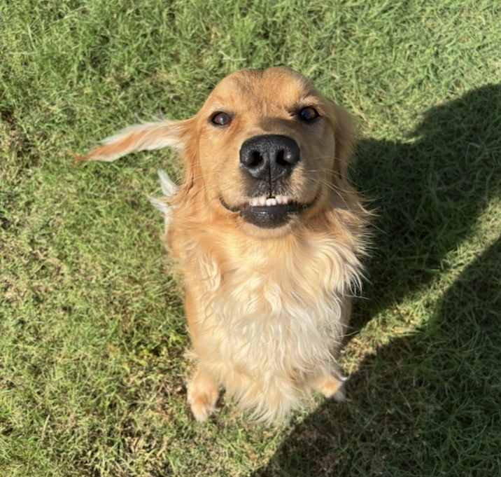 Photo of Daisy