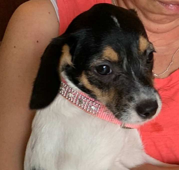 Photo of Brynn