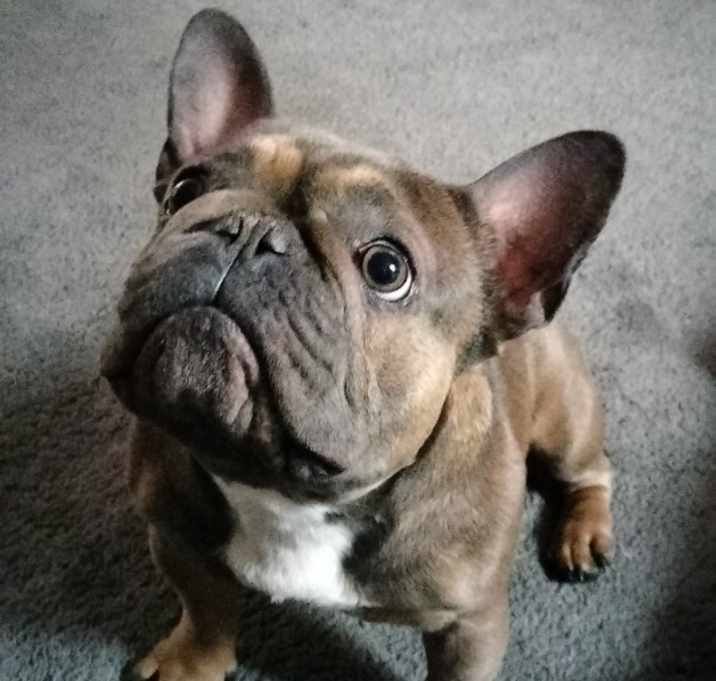 Photo of Togo