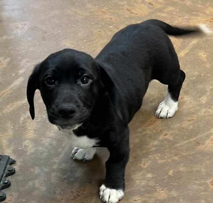Photo of Tex