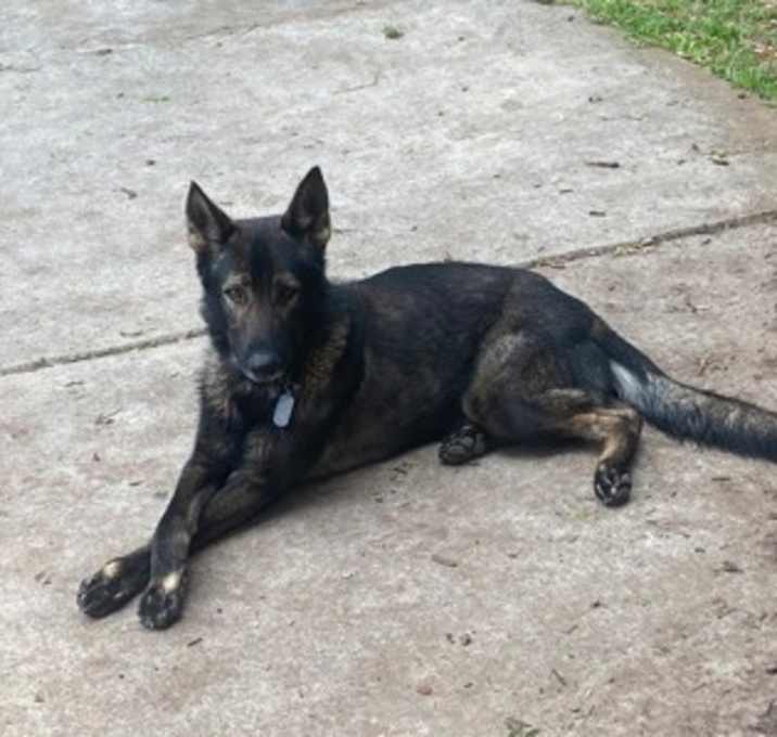 Photo of Chief