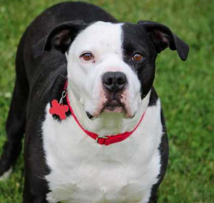 Photo of Brady