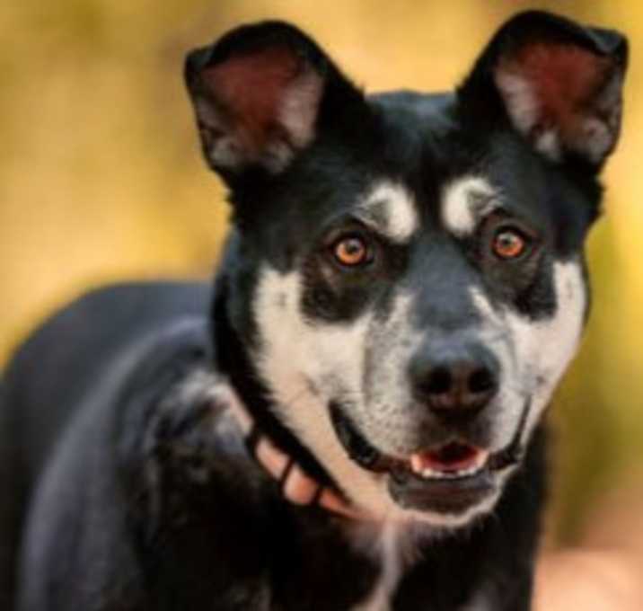 Photo of Estrella