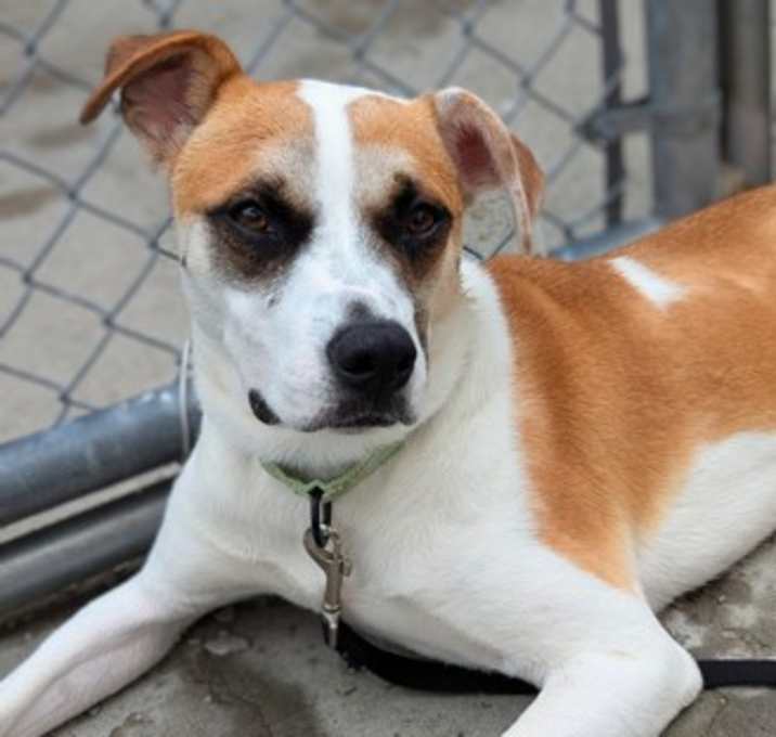 Photo of Sweet Boy