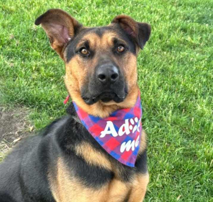 Photo of Sammy