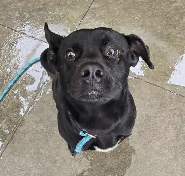 Photo of Nuka