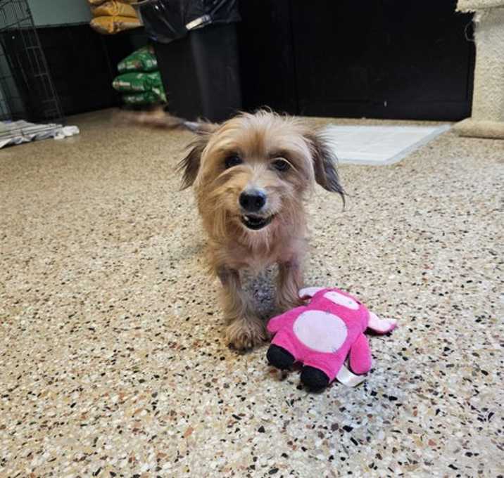 Photo of Bridgette