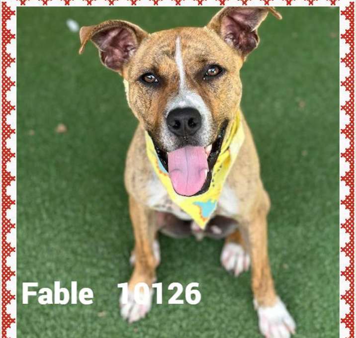 Photo of FABLE
