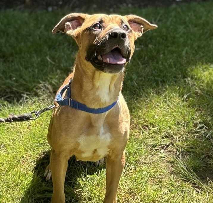 Photo of Nova