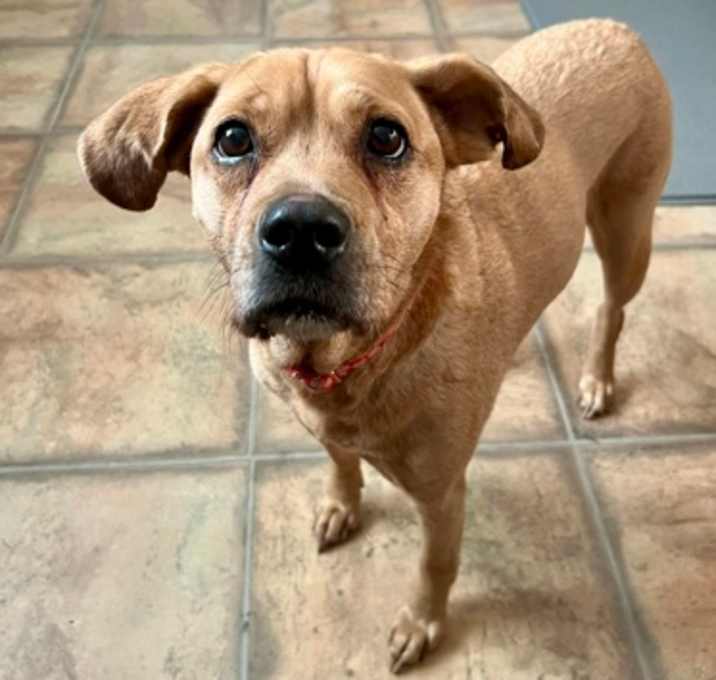 Photo of Miley (in Foster)