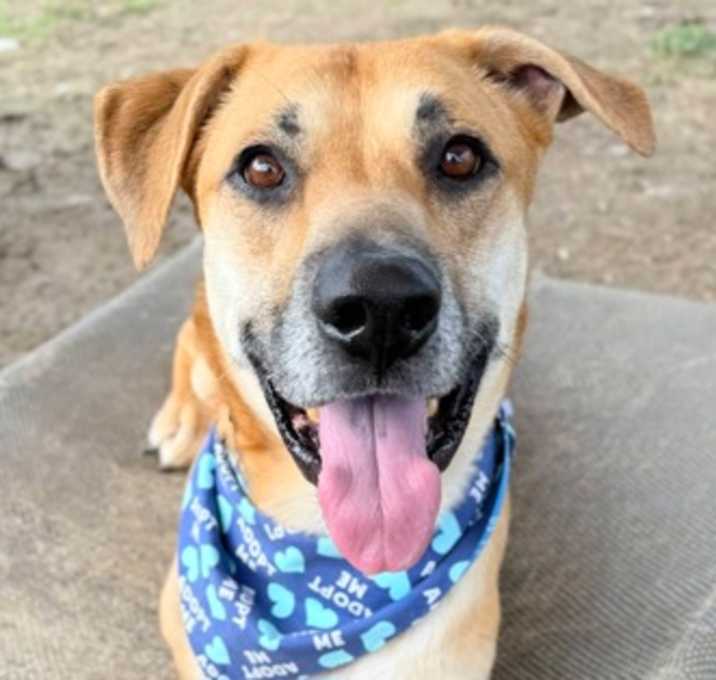 Photo of Maverick