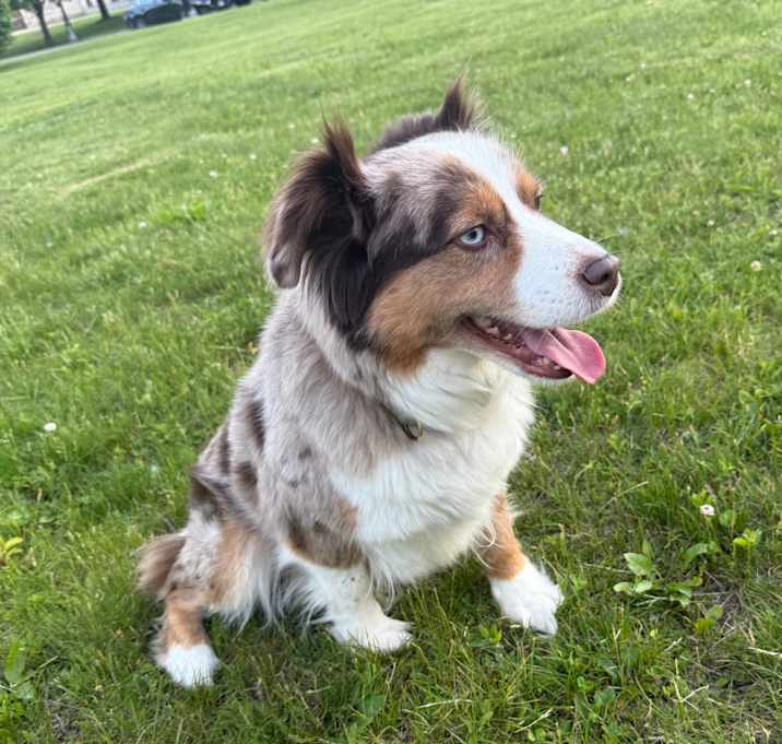 Photo of Skye