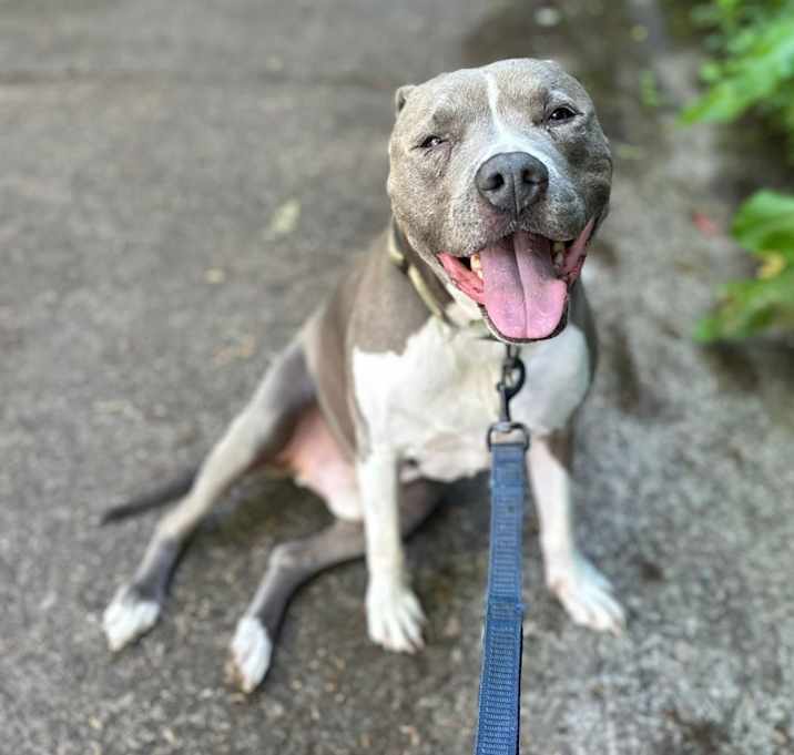 Photo of Bubba