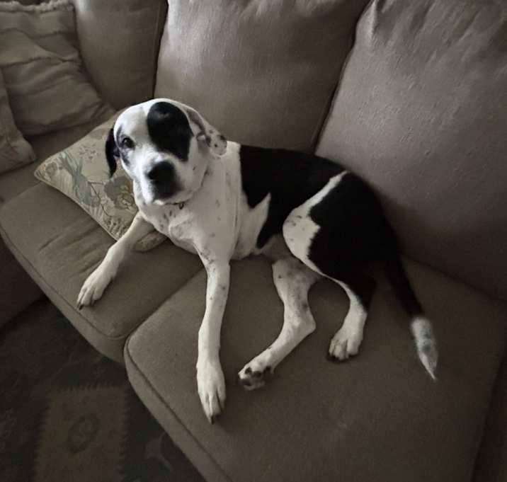 Photo of Molly