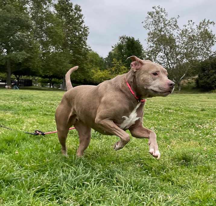 Photo of Nala CP