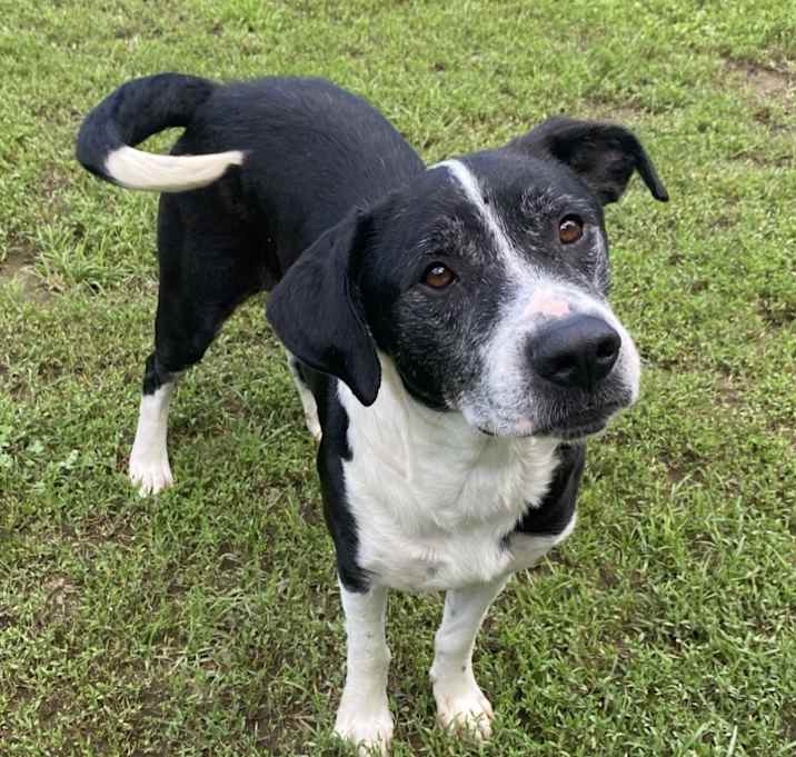 Photo of Dudley