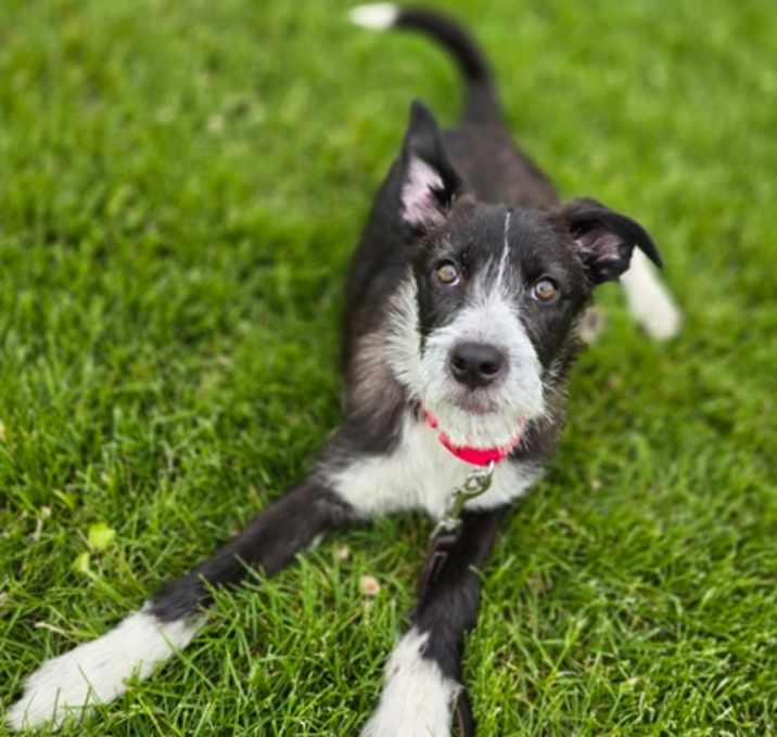 Photo of Rylee