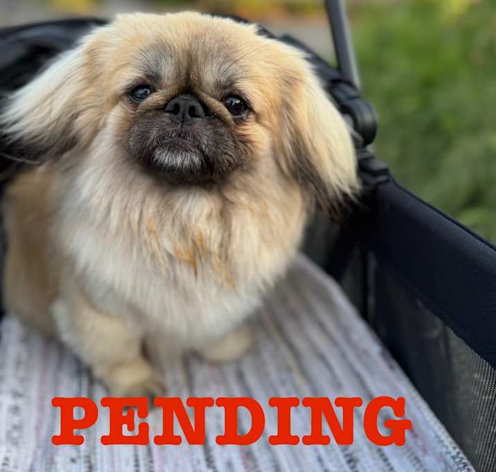 Photo of Sprout 
