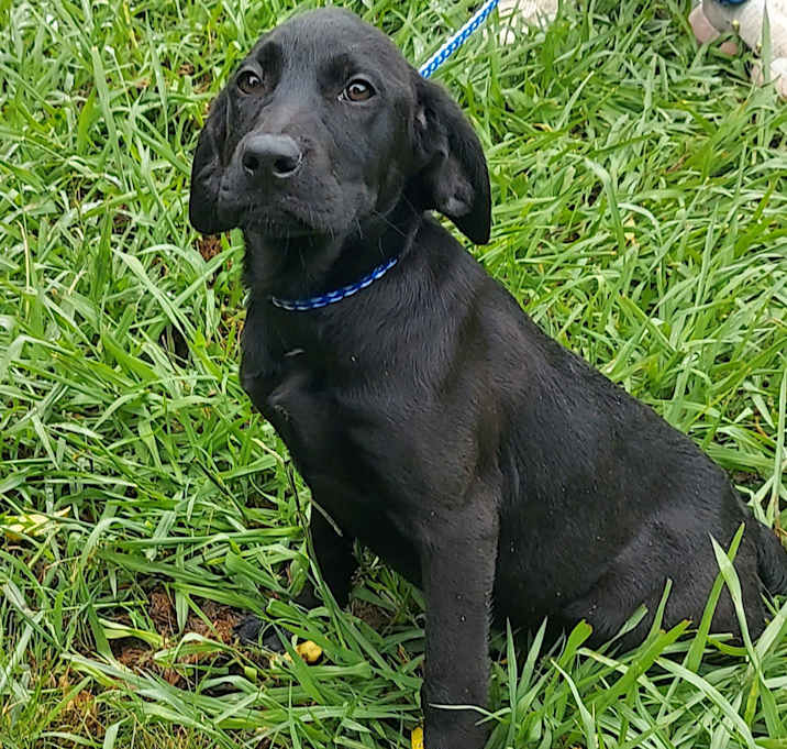 Photo of RAVEN