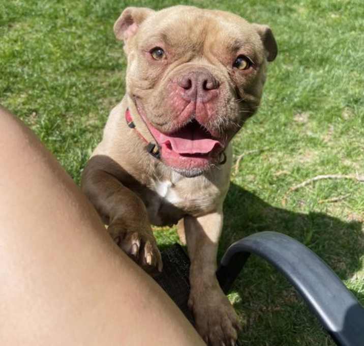 Photo of Honey
