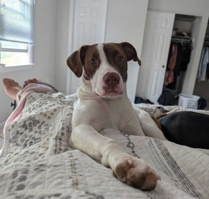 Photo of Ruby Lucille