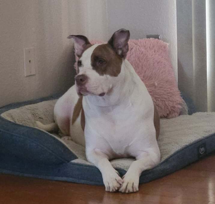 Photo of Jack