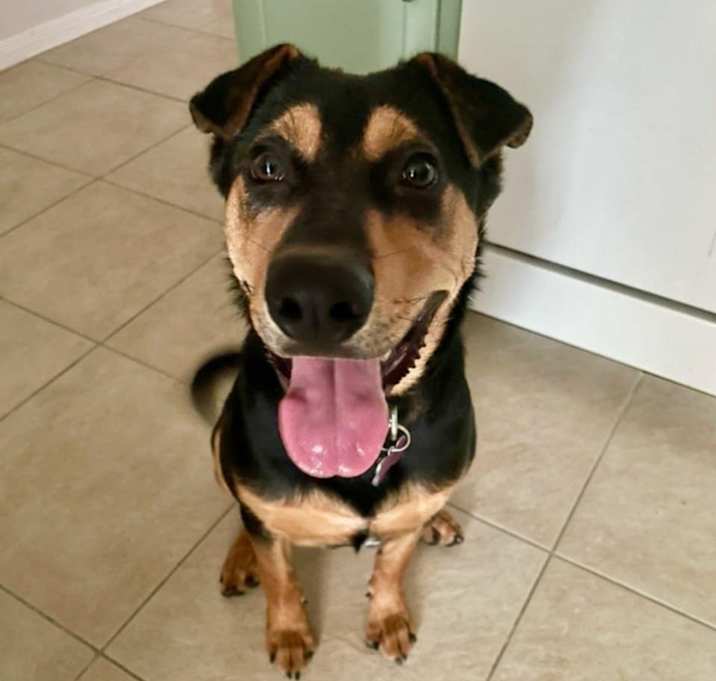 Photo of Ziggy