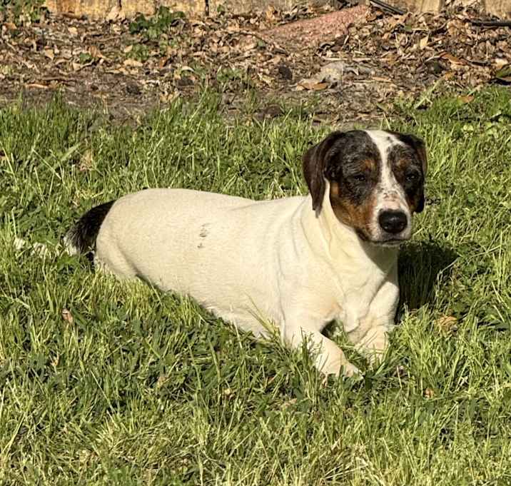 Photo of Chuy