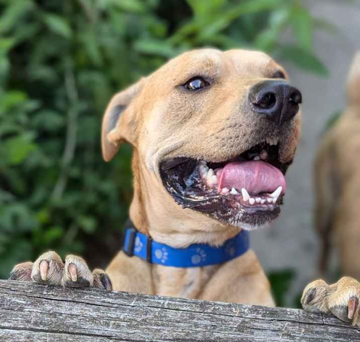 Photo of Cash