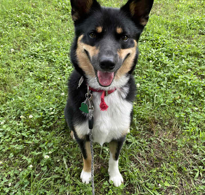 Photo of Gus