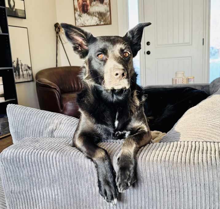 Photo of Little Bear