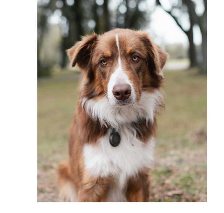 Photo of Farley