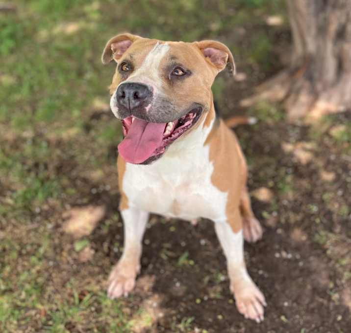 Photo of Chloe 25-05-084