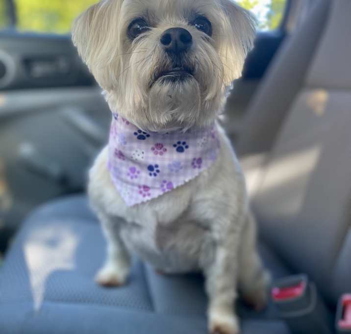 Photo of Sophie