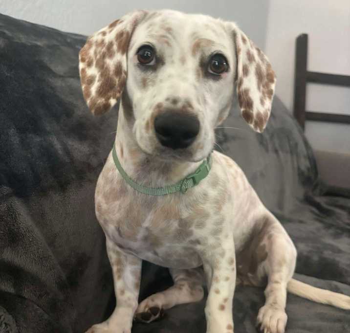 Photo of Ellie