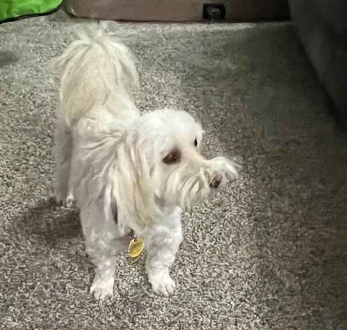 Photo of Thelma