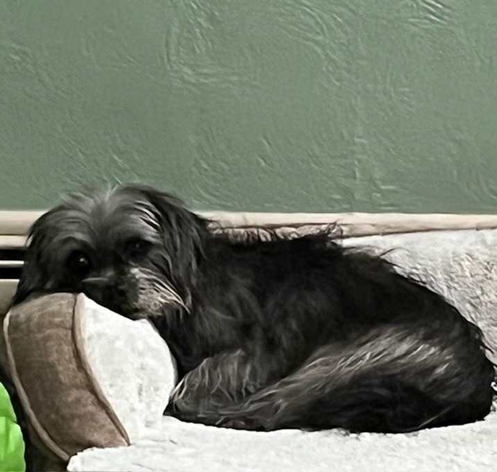 Photo of Louise
