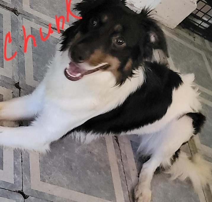Photo of Chunk
