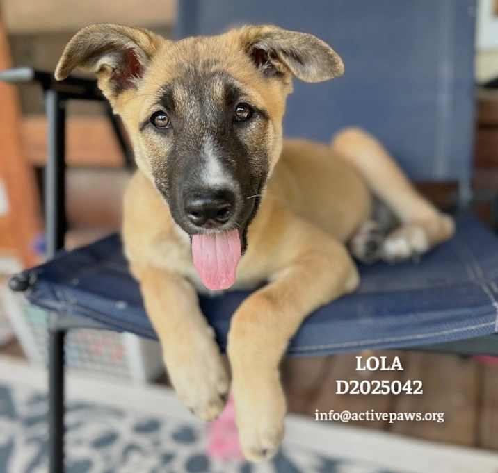 Photo of Lola