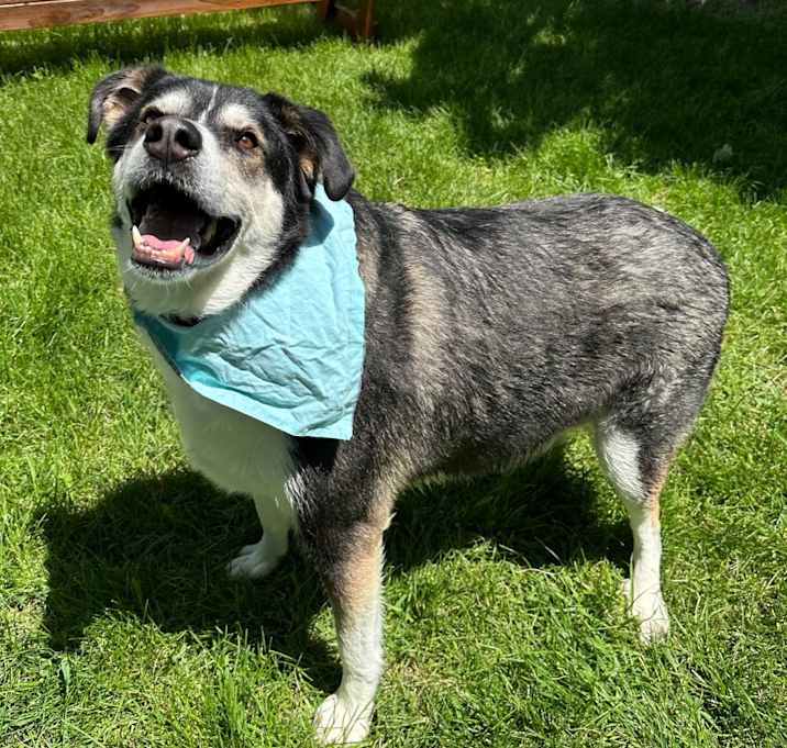 Photo of Ruckus