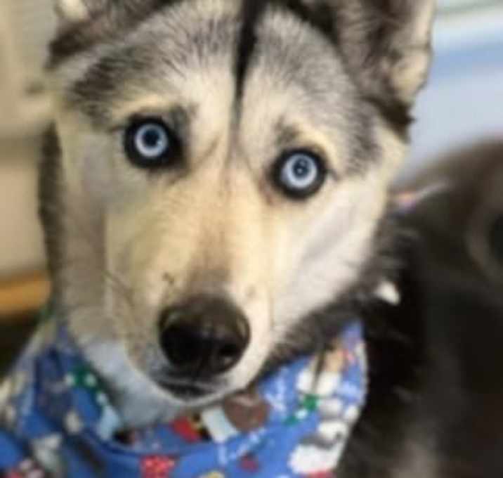 Photo of Aurora