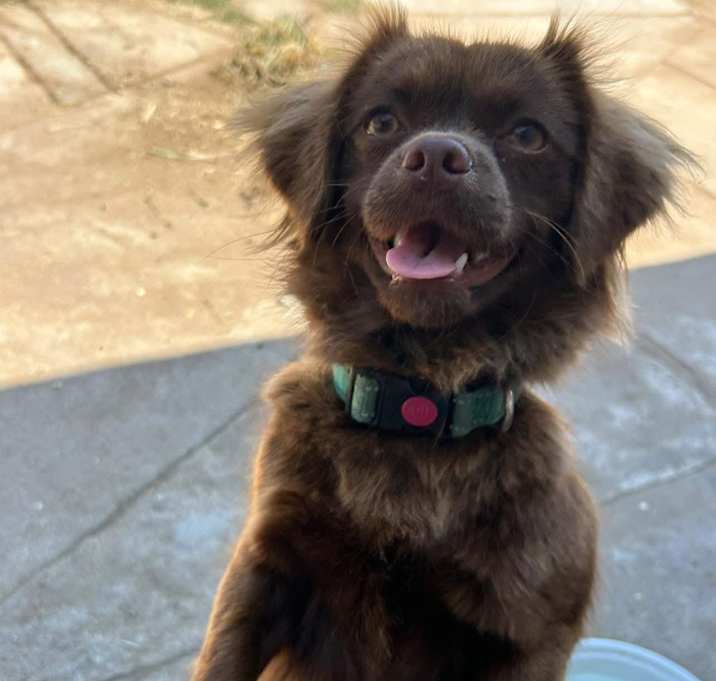 Photo of Mocha