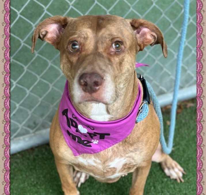 Photo of LITTLE MAMA