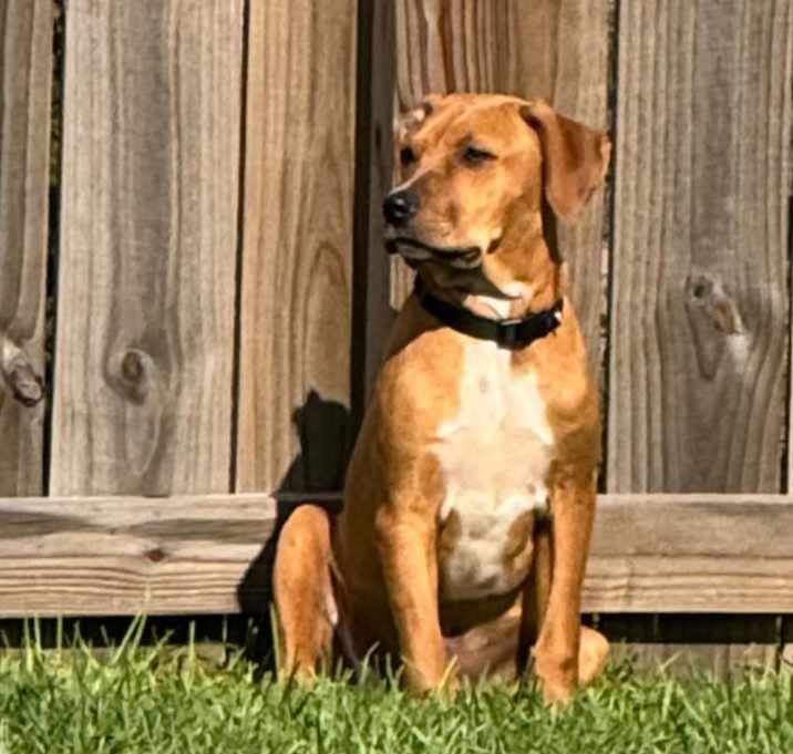 Photo of Charlie
