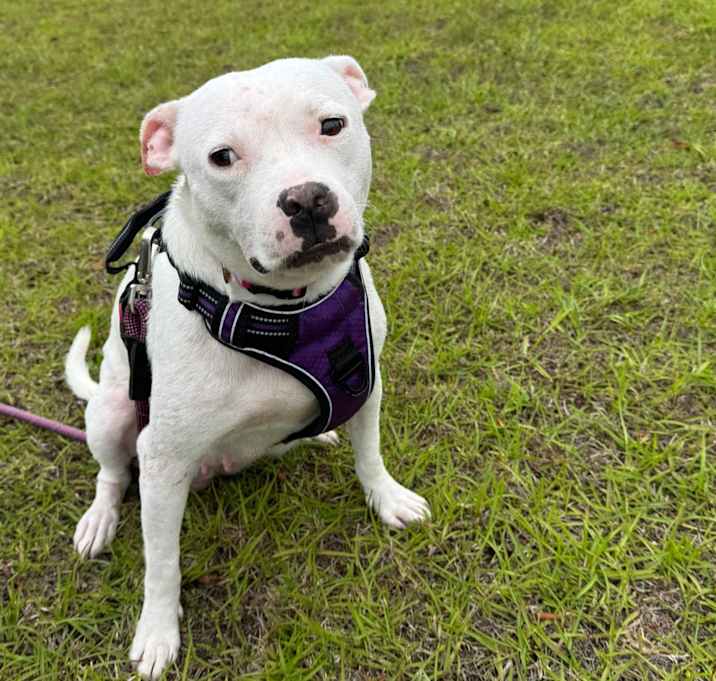 Photo of Molly
