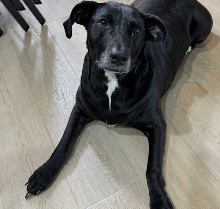 Photo of Artemis