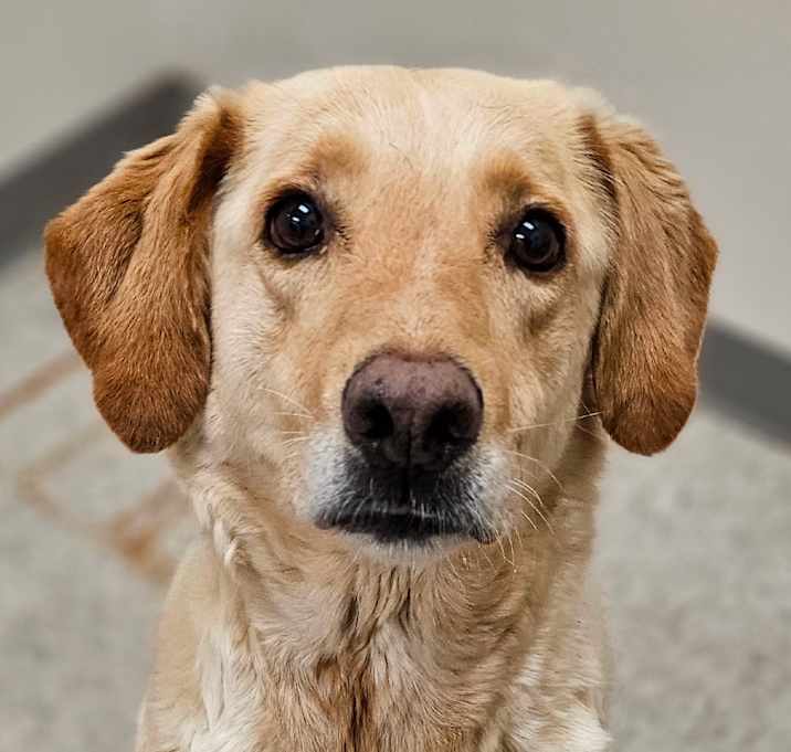 Photo of Annie